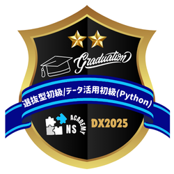 選抜型初級／データ活用初級（Python）